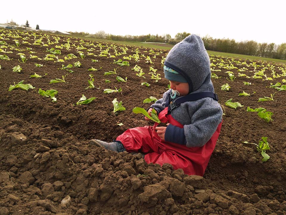 Kleinkind sitz im Feld und begutachtet das Grün