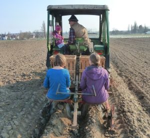 Mehr über den Artikel erfahren <strong>Mitmachtag bei schönstem Sonnenschein</strong>