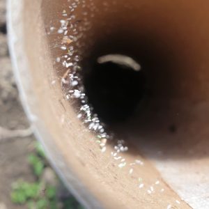 Mehr über den Artikel erfahren Unsere kleinsten Solawisten sind am Start!