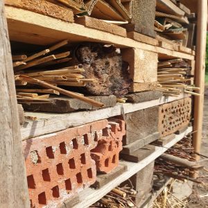 Mehr über den Artikel erfahren Das Insektenhotel ist bezugsfertig