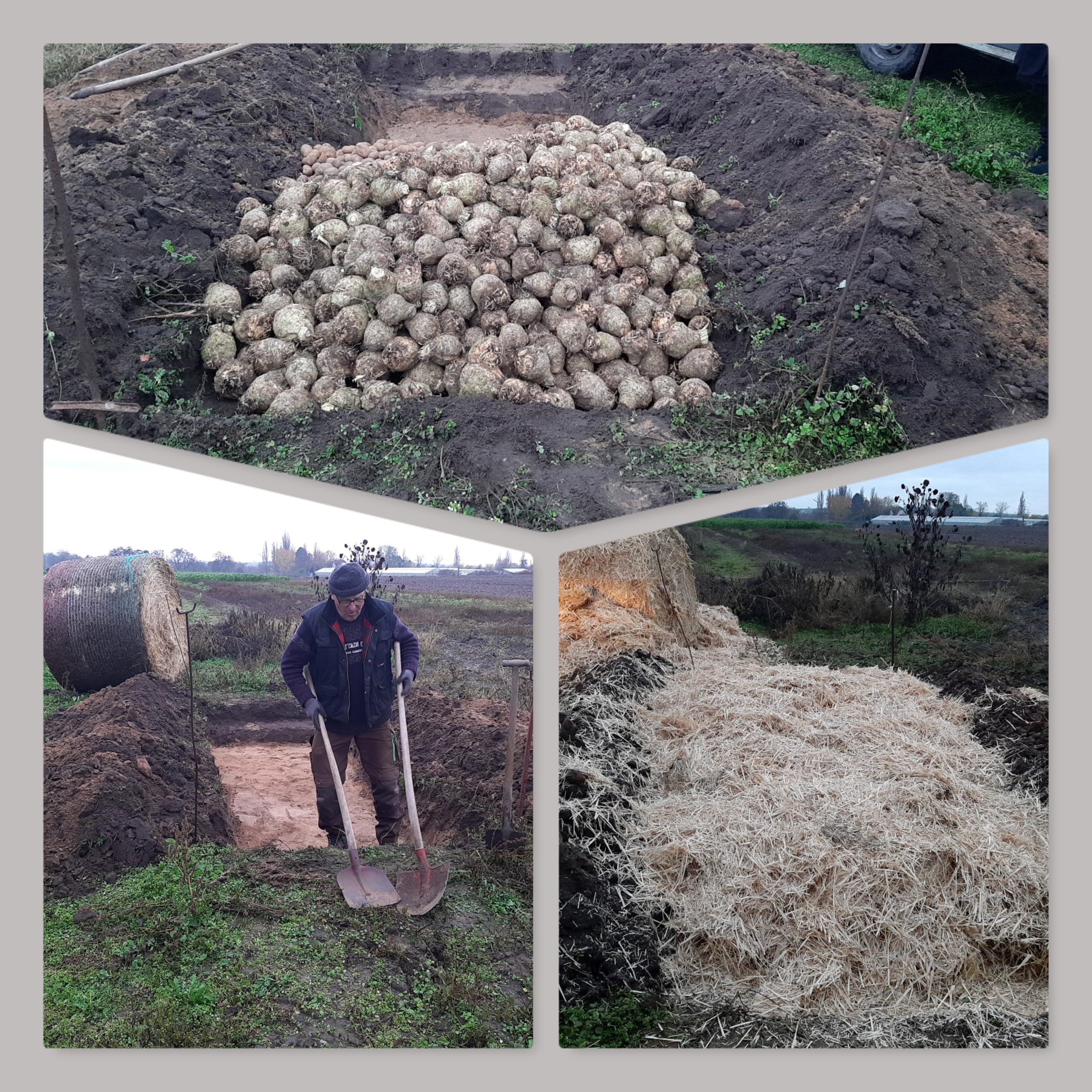 Mehr über den Artikel erfahren Unten im Boden…