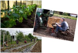 Mehr über den Artikel erfahren Es ist viel zu tun …