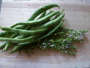 Mehr über den Artikel erfahren Dieses Jahr gibt’s wieder Bohnen …