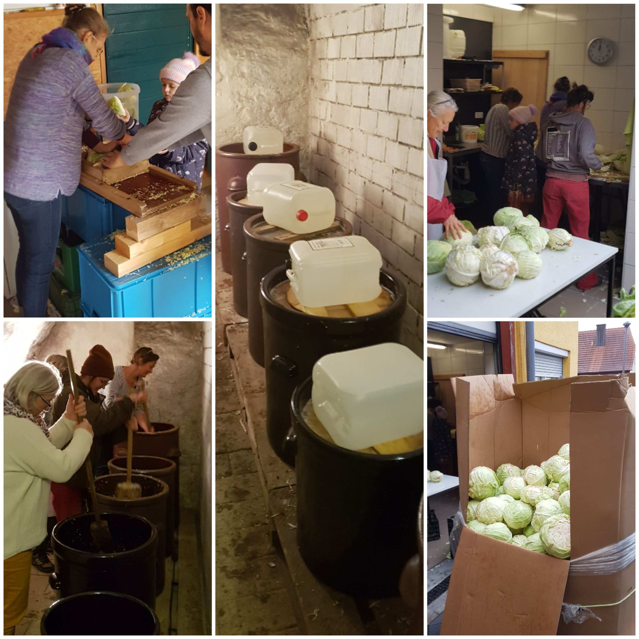 Du betrachtest gerade Sauerkraut-Aktion 2023