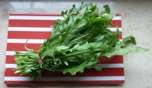 Mehr über den Artikel erfahren Der erste Rucola ist da!