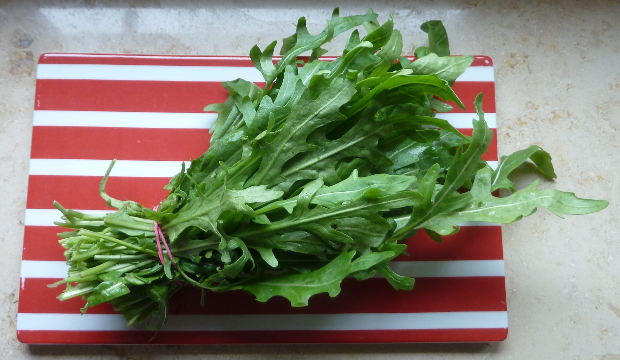 Mehr über den Artikel erfahren Der erste Rucola ist da!