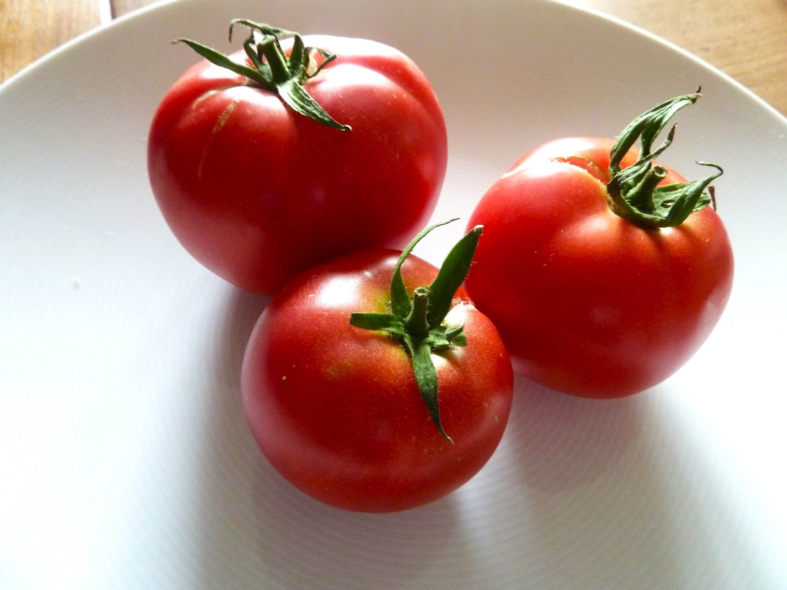 Mehr über den Artikel erfahren Tomaten über Tomaten!