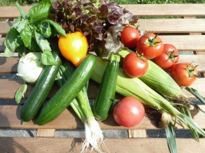 Mehr über den Artikel erfahren So viel feines Sommergemüse!