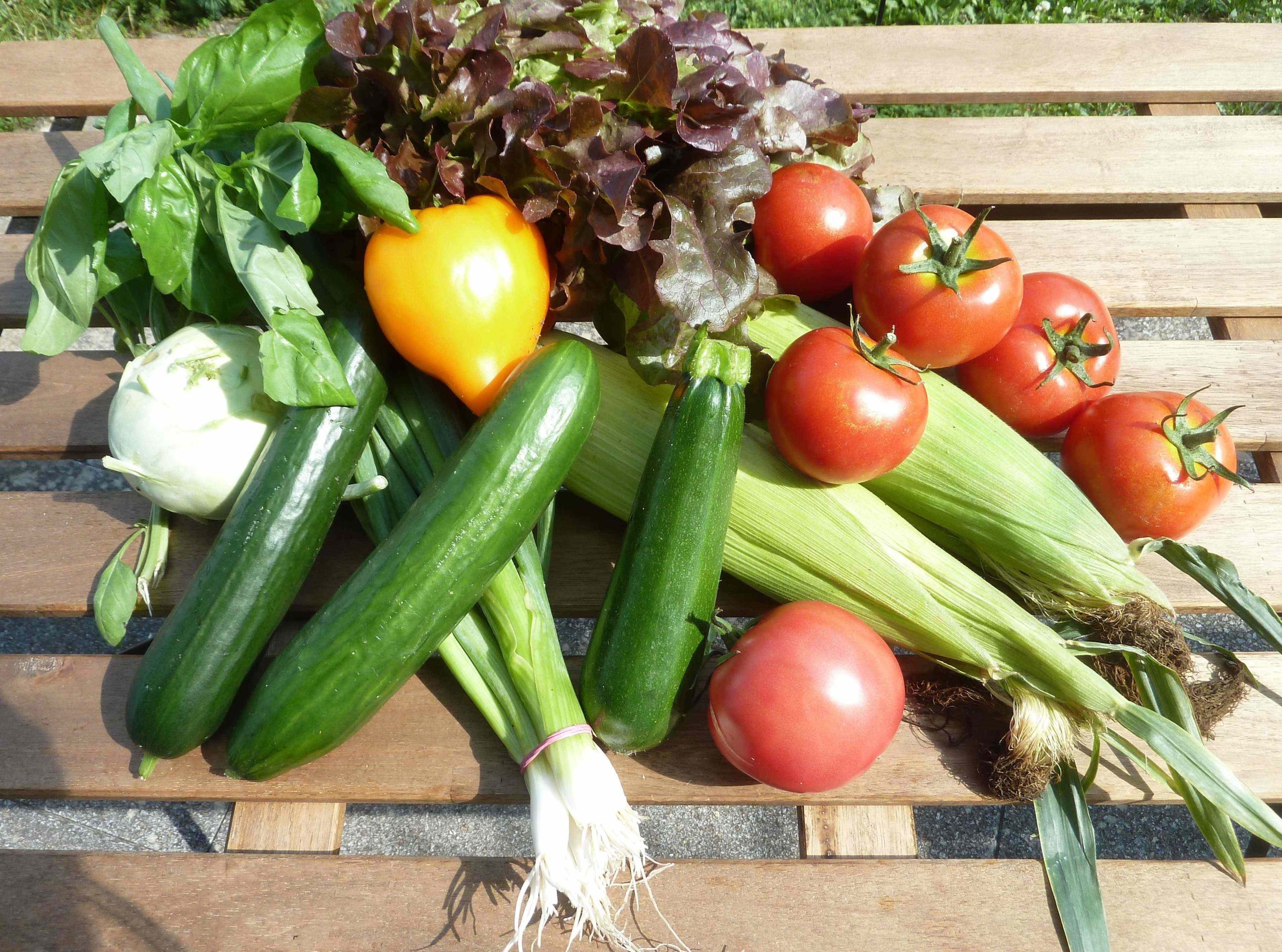 Mehr über den Artikel erfahren So viel feines Sommergemüse!