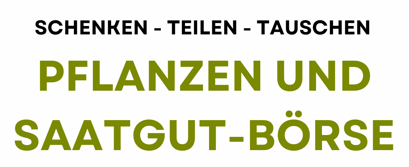 Mehr über den Artikel erfahren Die Solawi kennen lernen II